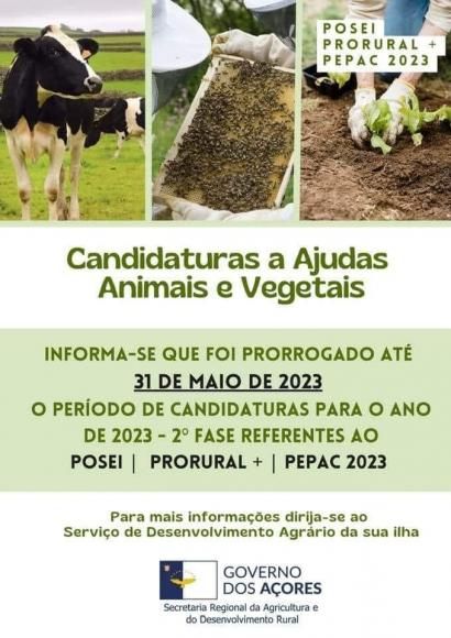 Junta de Freguesia de Candel&aacute;ria - Informa&ccedil;&atilde;o - Prorroga&ccedil;&atilde;o at&eacute; 31 de Maio de 2023.