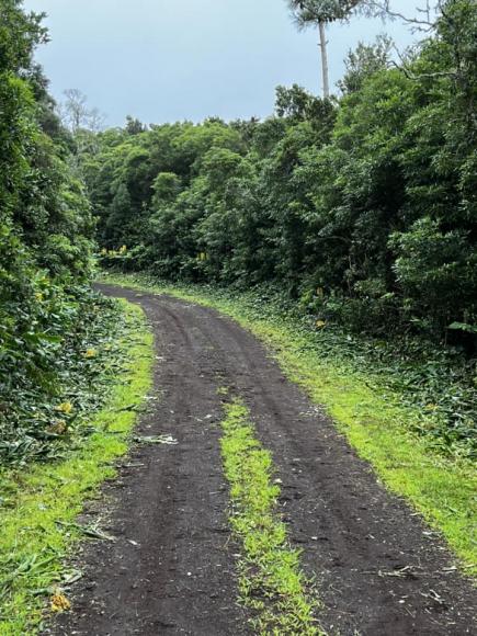 Junta de Freguesia de Candel&aacute;ria 