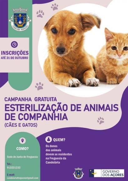 Freguesia de Candel&aacute;ria - CAMPANHA GRATUITA DE ESTERILIZA&Ccedil;&Atilde;O DE C&Atilde;ES E DE GATOS