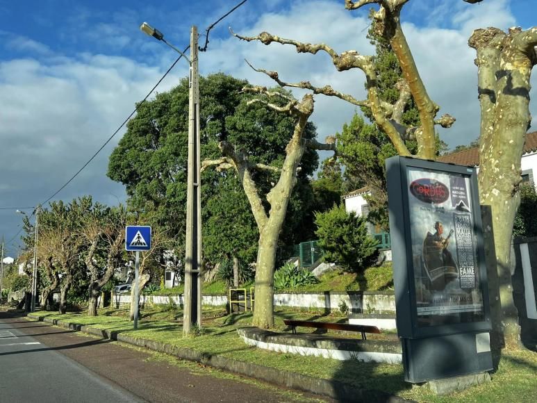 Junta de Freguesia de Candel&aacute;ria - 