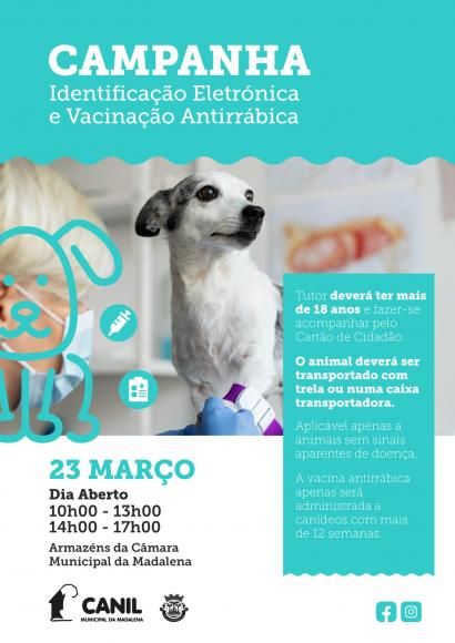 Município da Madalena Promove Campanha Gratuita de Vacinação Antirrábica e Identificação Eletrónica