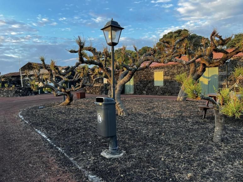 Junta de Freguesia de Candelária - Montagem de papeleiras no Parque dos Fogos e pintura das mesas de apoio