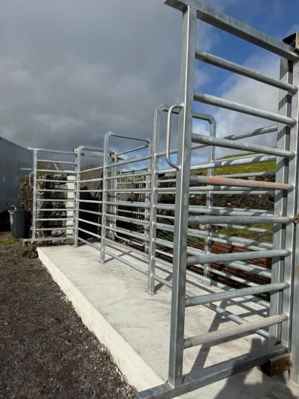 Junta de Freguesia de Candel&aacute;ria - Nova manga de reten&ccedil;&atilde;o de gado e port&otilde;es no Parque de Reten&ccedil;&atilde;o do Barreiro