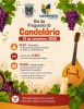 Junta de Freguesia de Candel&aacute;ria - 