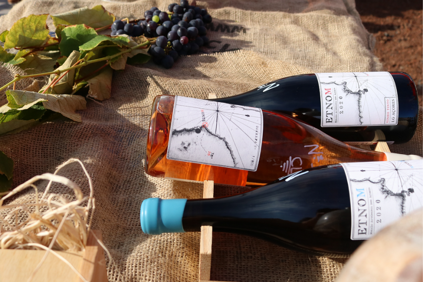 Novos vinhos produzidos no Pico pela Enóloga Cátia Laranjo